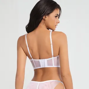 Weißes Spitzen Korsett BH Set für Damen, transparente Mesh Rückseite, sexy Unterwäsche Ansicht.