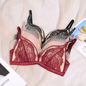 Franse stijl sexy wimpers kant driehoek cup beugelloze comfortabele bh hoofdfoto van het product