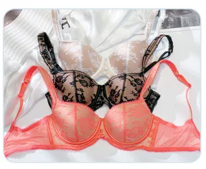 Detailed view of French lace contrast color soft underwire mesh bra, exquisite craftsmanship.