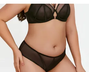 Plus size black mesh lace bra and panties set, breathable sexy underwear detail view.
