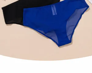 Women's plus size sheer mesh breathable high waist underwear comfort briefs 2-pack