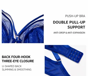 Plus size sheer mesh push-up bra detail view, comfortable support with 4 hook closure.