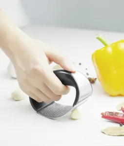 Stainless steel garlic press rocker tool for easy kitchen garlic mincing and crushing.