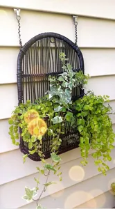 Detail view of a black rattan wall hanging planter basket with trailing green ivy plants.