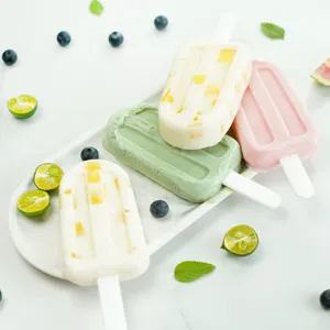 Silikon Eiscreme Stiel Eisform DIY Haushalt Kueche Frucht Dessert Eislutscher Werkzeug Set