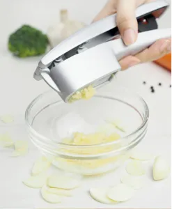 2-in-1 alloy garlic press and mincer tool, durable kitchen utensil for easy garlic crushing.