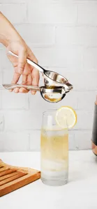 Spremiagrumi manuale in acciaio inossidabile, utensile da cucina per succo, facile da pulire.