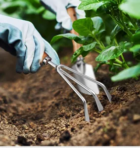 Stainless steel garden three-prong hand cultivator with wooden handle for soil loosening details.