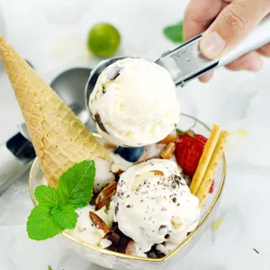 Professional stainless steel ice cream scoop 7 inch with 5cm ball digger for kitchen main view