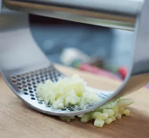 Stainless steel manual garlic press detail, ergonomic rocker tool for crushing garlic easily.