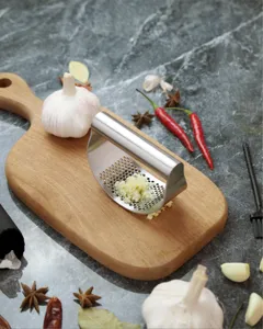 Stainless steel garlic press rocker with ergonomic handle for easy ginger and garlic mincing.