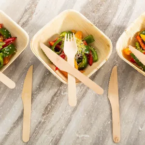 Disposable birch wooden tableware set including bowls, forks, and knives with salad presentation detail.
