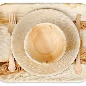 Set di stoviglie monouso ecologiche in foglia di palma, con vassoio quadrato, piatti e ciotola.