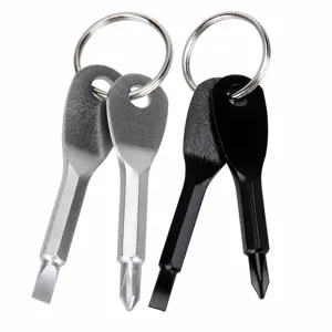 Jeu de Porte-Clés Tournevis Multifonctionnel en Acier Inoxydable Portable avec Embouts Plats et Cruciformes Outil EDC de Poche