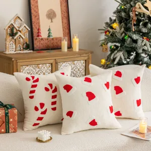 Christmas embroidered throw pillow cover plush sofa cushion living room holiday decor