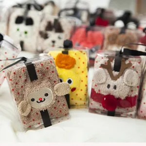 Cute winter plush coral fleece home floor socks in transparent gift box, warm Christmas gift.