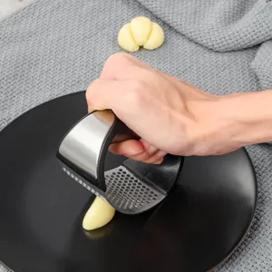 Stainless steel manual garlic press rocking tool detail showing easy kitchen garlic mincing.