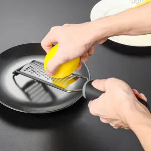 Grattugia per Formaggio in Acciaio Inossidabile Utensile da Cucina