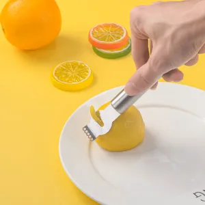 Rallador de limón de acero inoxidable herramienta de cocina para frutas cítricas gadget.