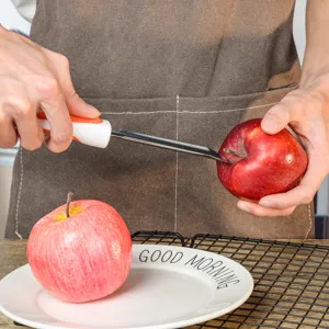 Edelstahl Obstkernfruchtausstecher Küchenwerkzeug mit Griff für Äpfel und Paprika.
