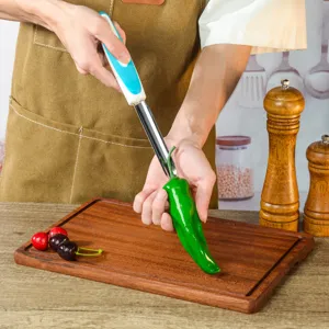 Edeltstahl Chili Kernausloeser Detailansicht, multifunktionales Kuechenwerkzeug fuer Gemuese.