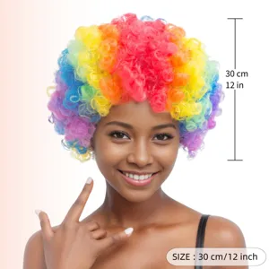 Parrucca clown afro arcobaleno colorata per festa e festival, capelli sintetici 30cm.