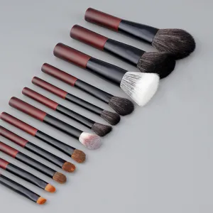 Set de 12 mini pinceaux de maquillage portables manche court poudre paupières