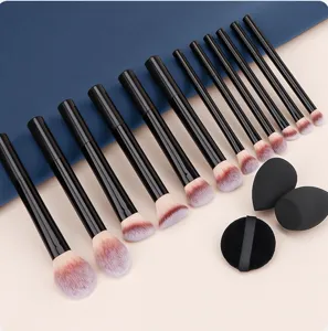 12-delige professionele make-up penselen set met zwarte handvatten en zachte cosmetische sponsjes.