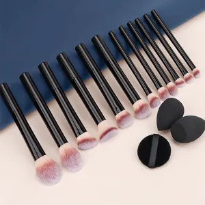 12-delige professionele make-up kwastenset met cosmetische sponsjes en poederdons.