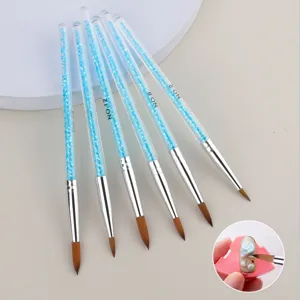 Klar Strass Nagelkunst Pinsel Set Acryl Flüssigkeit Pulver Verlängerung Phototherapie Schnitzer Blume Gemalt Zeichnung Polnisch Stift