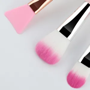Ensemble professionnel de 3 pinceaux de maquillage avec poils dégradés et brosse en silicone.