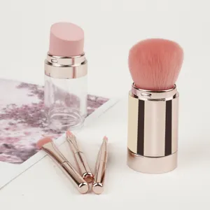 Kit de pinceaux de maquillage de voyage 5 en 1 portable avec pinceau poudre et étui or rose.