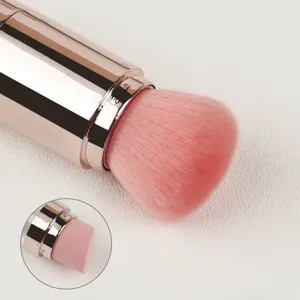 Kit de pinceaux de maquillage portatif 5 en 1 avec pinceau poudre et embout éponge.