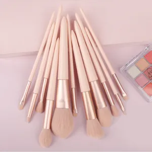 Primo piano dettagliato di un set di 11 pennelli da trucco rosa con setole morbide.