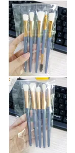 5-piece eye makeup brush set with soft synthetic fibers, portable detail blending brushes.