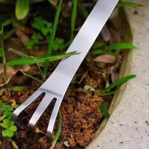 Stainless steel bonsai rake detail, perfect tool for loosening soil and weeding plants.