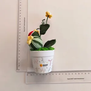 Detailopname van handgehaakte watermeloen plant in pot, met fijne garentextuur en vakmanschap details.