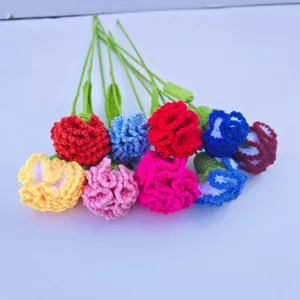 Handgemachte Häkel-Nelken Blumenstrauß, bunte gestrickte Blumen Geschenk für Frauen.