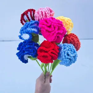 Handgemachte Gehäkelte Nelkenstrauß Gestrickte Künstliche Blume Fertiges Blumen Geschenk Für Damen Muttertag Heimdekoration