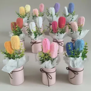 Handmade Crochet Wool Tulip Potted Plant Finished Graduation Bouquet Simulation Flower Home Decor Gift