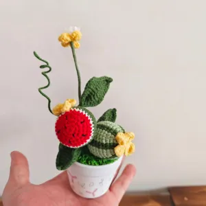 Handgemaakt gehaakt watermeloen potplant huisdecoratie schattig gebreid fruit tafel ornament cadeau