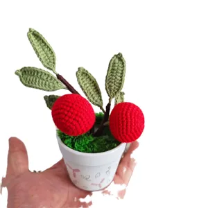 Handgemaakte gehaakte fruit potplant, schattige rode appel en groene bladeren decoratie.