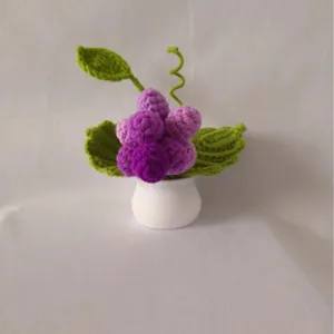 Handmade Crochet Grape Potted Plant Cute Knitted Purple Fruit Desk Ornament Home Decor Crochet Plant Gift