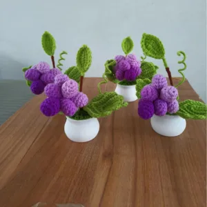 Handmade crochet grape potted plant cute desk decor miniature tabletop home ornament
