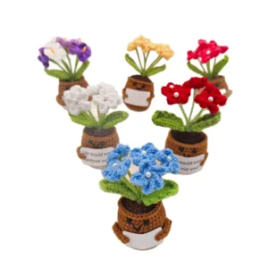 Handcrafted crochet potted plants with cute smiling pots and encouraging mini signs for home decor.