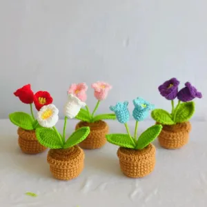 Handmade crochet potted plants, cute knitted double-head flower decor for home gift.