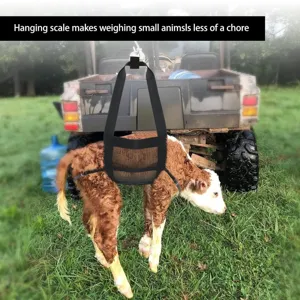 Sangle de pesée pour animaux, veaux et petits bétails, filet respirant avec sangles réglables.