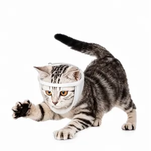 Detailopname van de transparante kattenmuilband met veilig wit plastic frameontwerp.