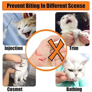 Kattenverzorging anti-bijt masker ademendehoes detail scenario grafische afbeelding.