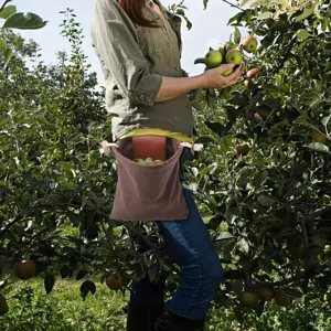 Outdoor sports waist bag for orchard fruit picking and foraging tool storage in detail display